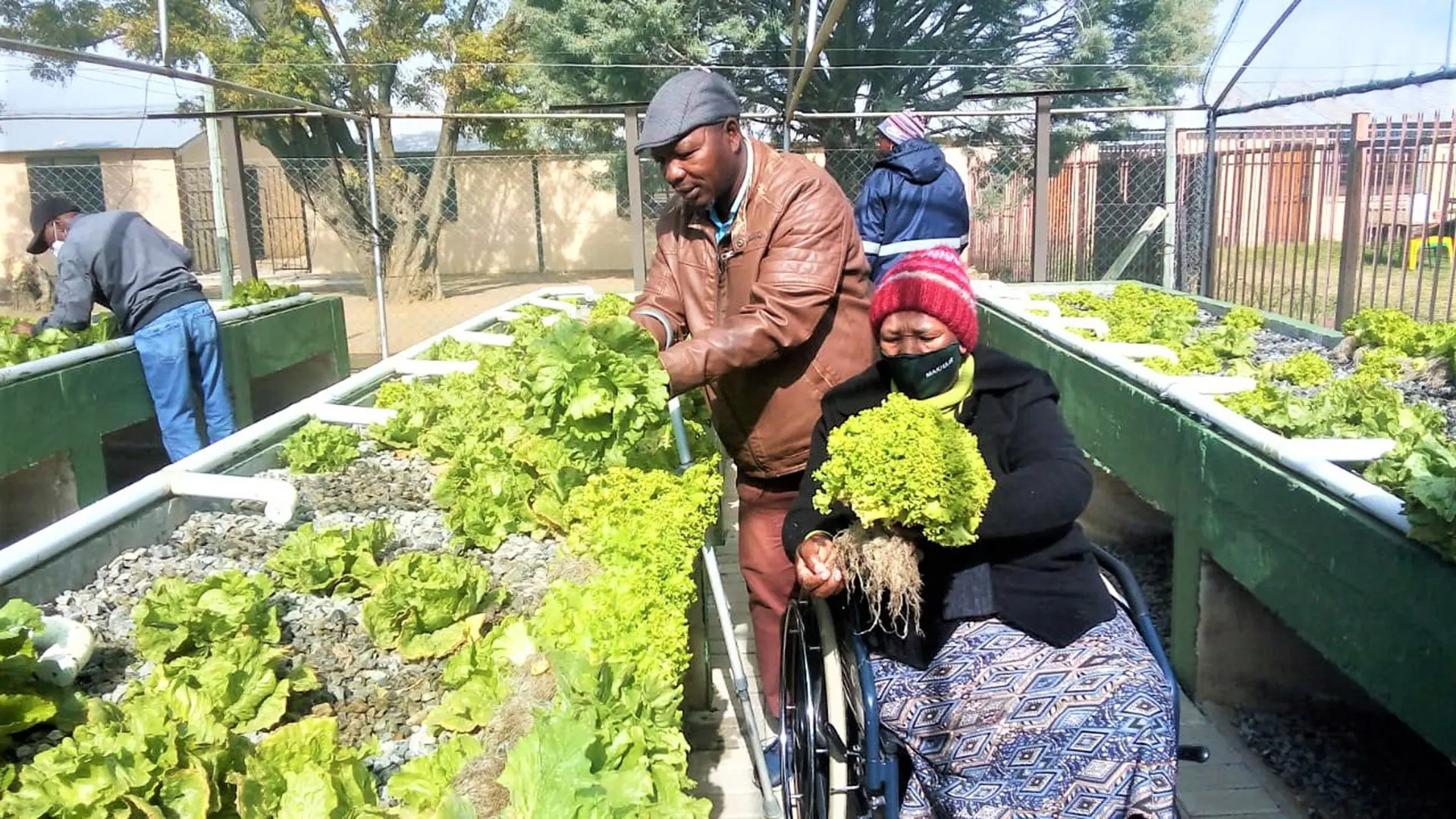 Accessible Agriculture: Creating a Sustainable Future for Farmers with Disabilities